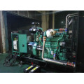 Cummins Diesel Generator Set 1000W